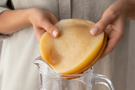 Con Scoby Là Gì ? Những Sự Thật Thú Vị Về Nấm Scoby