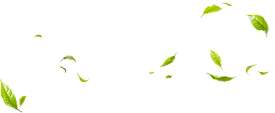 Thạc sĩ|TRẦN THANH VIỆT